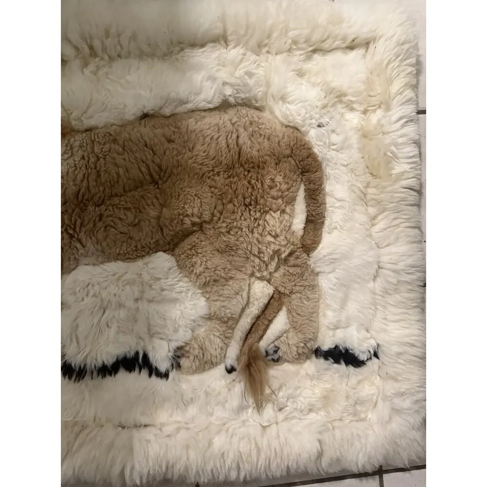 Mexican Mexico 100% Alpaca Fur Tapestry Rug 43x30 Lion Vintage Hole